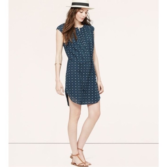 LOFT Dresses & Skirts - 5 for 35$ Ann Taylor LOFT blue Swiss dot tunic dress